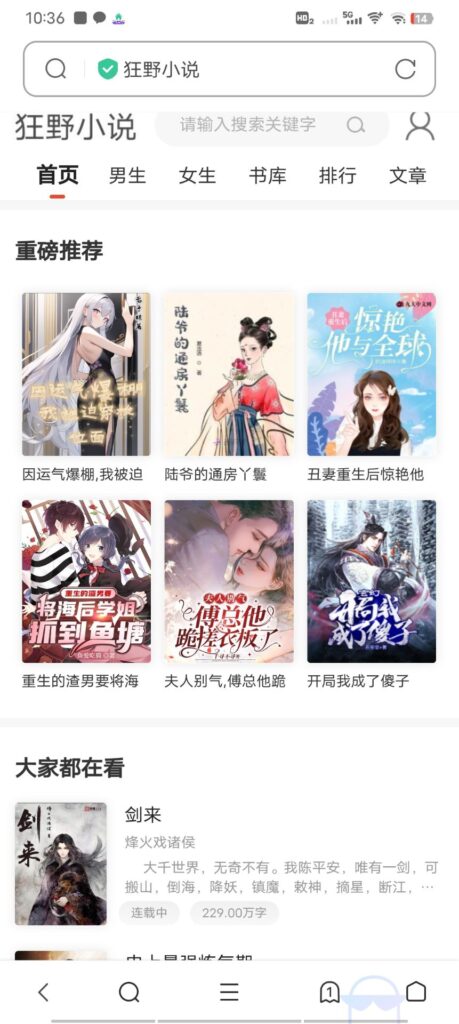小说网站源码带管理后台手机端和采集-棋牌资源站